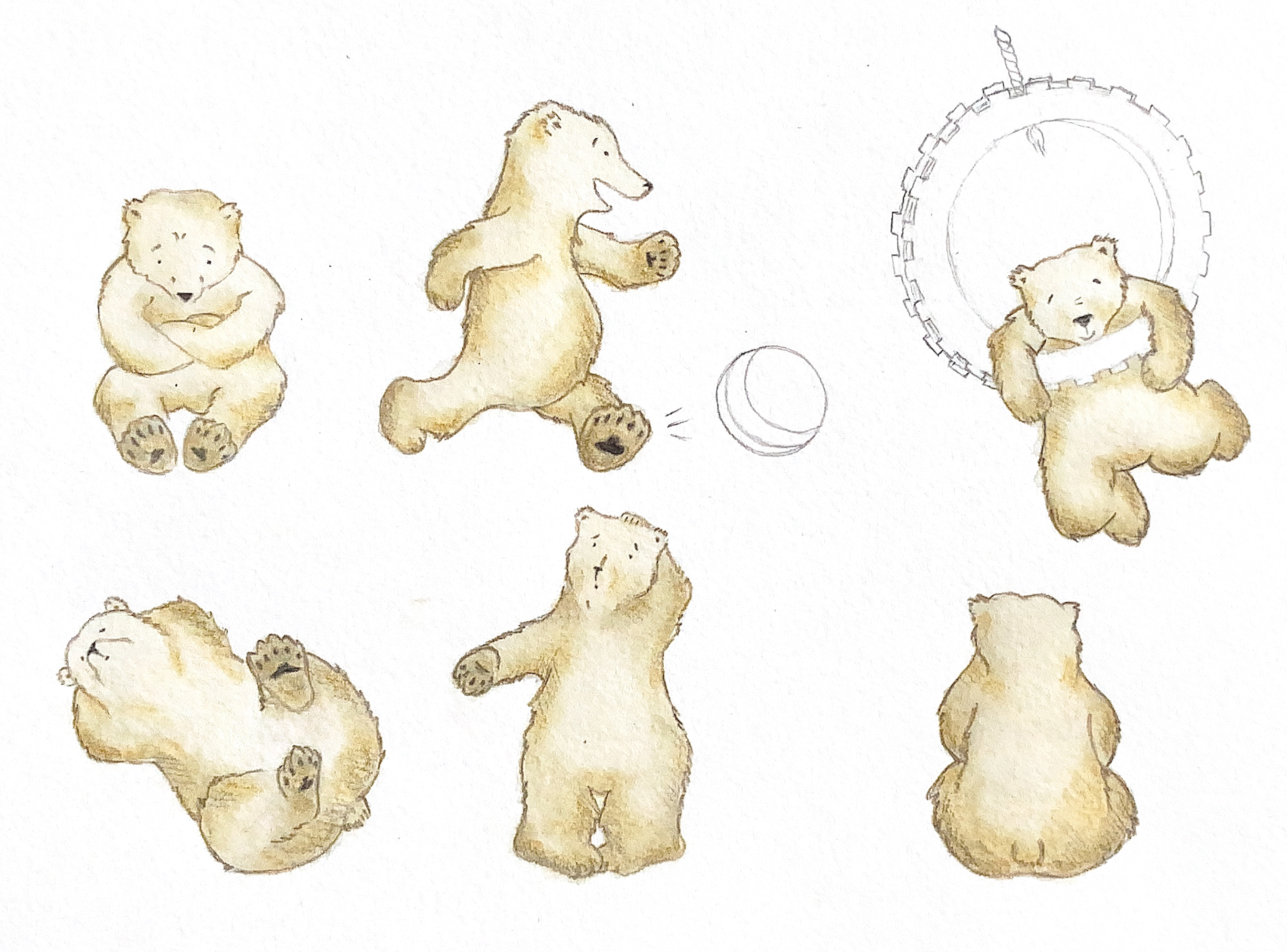 Main character - polar bear poses